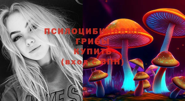крисы Зерноград