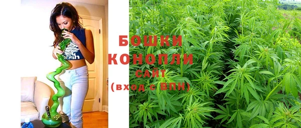 крисы Зерноград