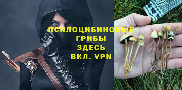 крисы Зерноград