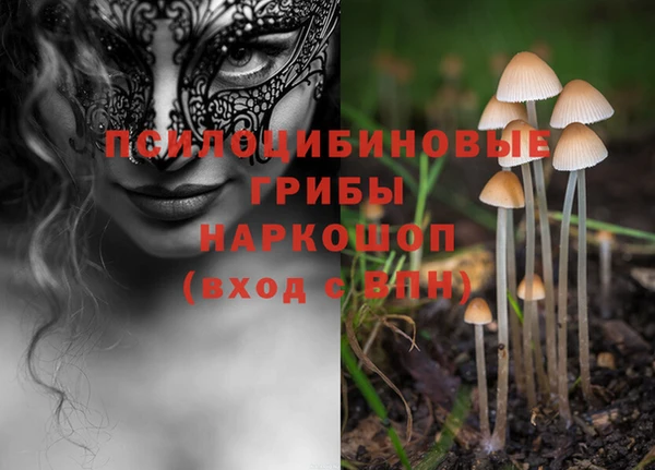 синтетический гашиш Зеленодольск