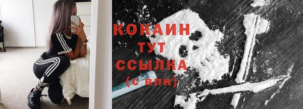крисы Зерноград