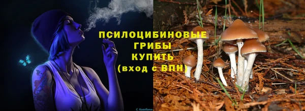 синтетический гашиш Зеленодольск